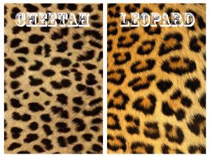 Perfect leopard print courts - Midlifechic